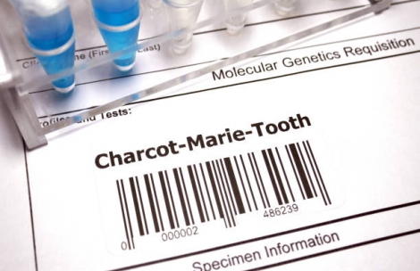 What Is Charcot-Marie-Tooth Disease