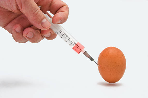 واکسن آنفولانزا و تخم مرغ