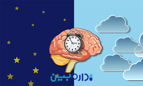 خواب رم و غیررم