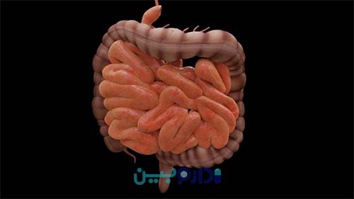 یبوست چیست؟