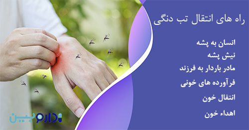 راه های انتقال تب دنگی